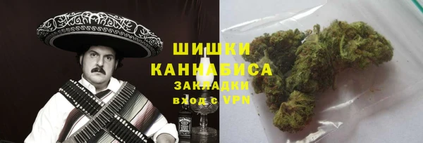 ГАЛЛЮЦИНОГЕННЫЕ ГРИБЫ Бугульма